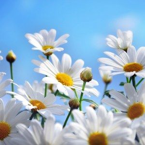 Meet your Posher, Jean